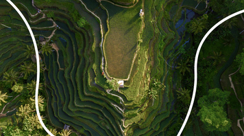 Food and Drinks in Bali: Indonesian Local Experts 