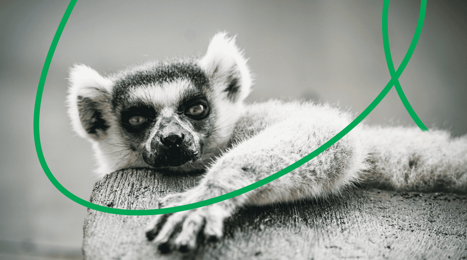 Madagascar 2025: Travel Tips & Must-See Attractions