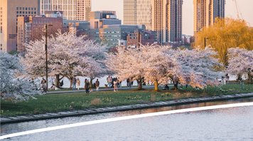 Where to Travel in Spring: 7 Best Spring Destinations