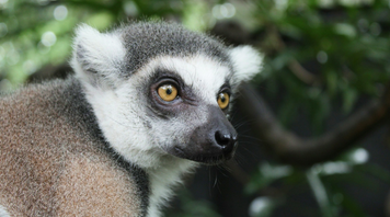 The Best Zoos in the United Kingdom