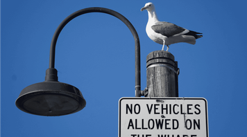 Rules and Restrictions in Different Countries